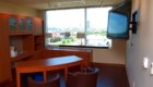 Window, Office