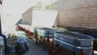 Annual Garden Tubs